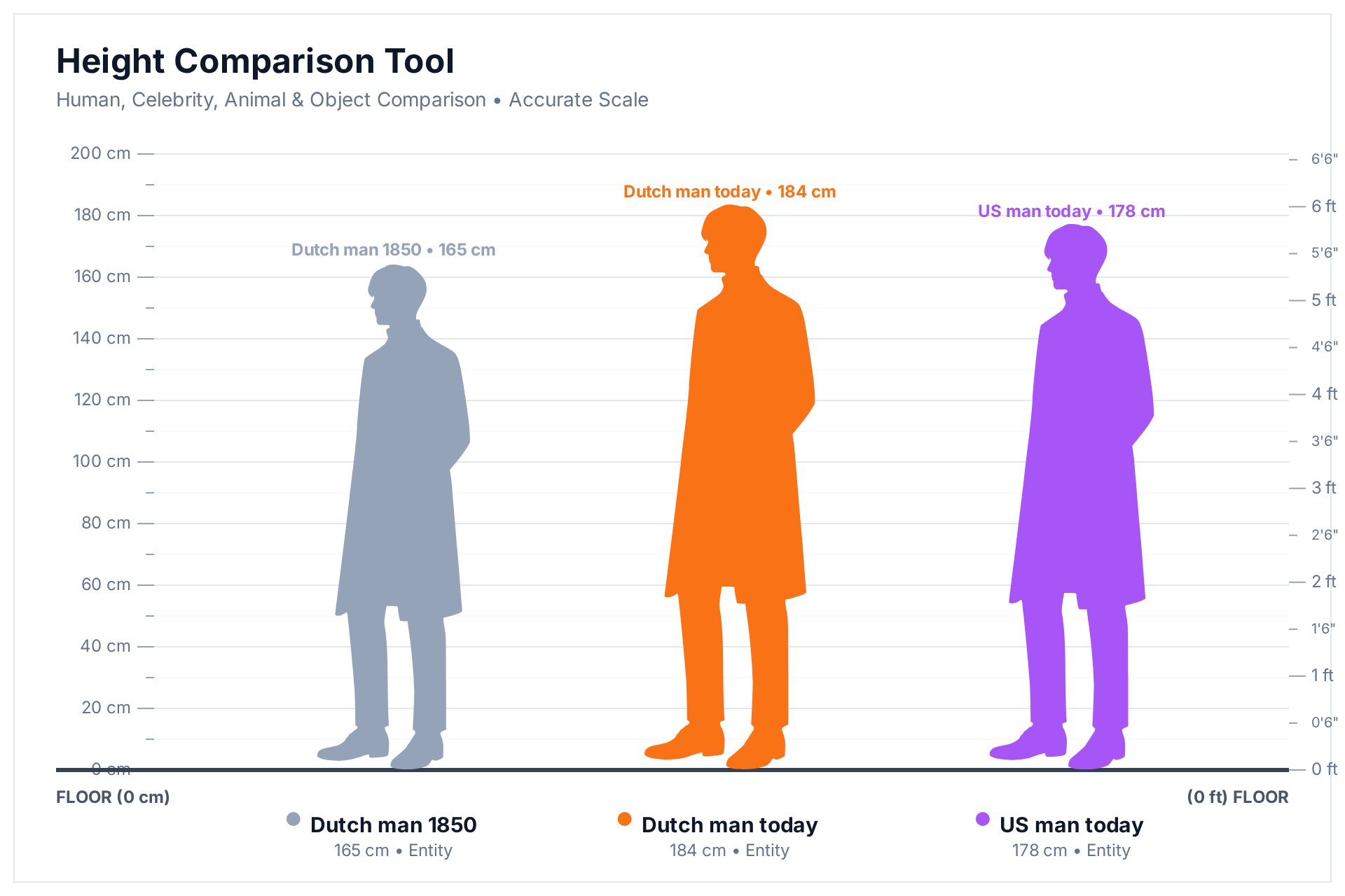 Height comparison chart showing a Dutch man in 1850 at 165 cm next to a Dutch man today at 184 cm and a US man today at 177.5 cm
