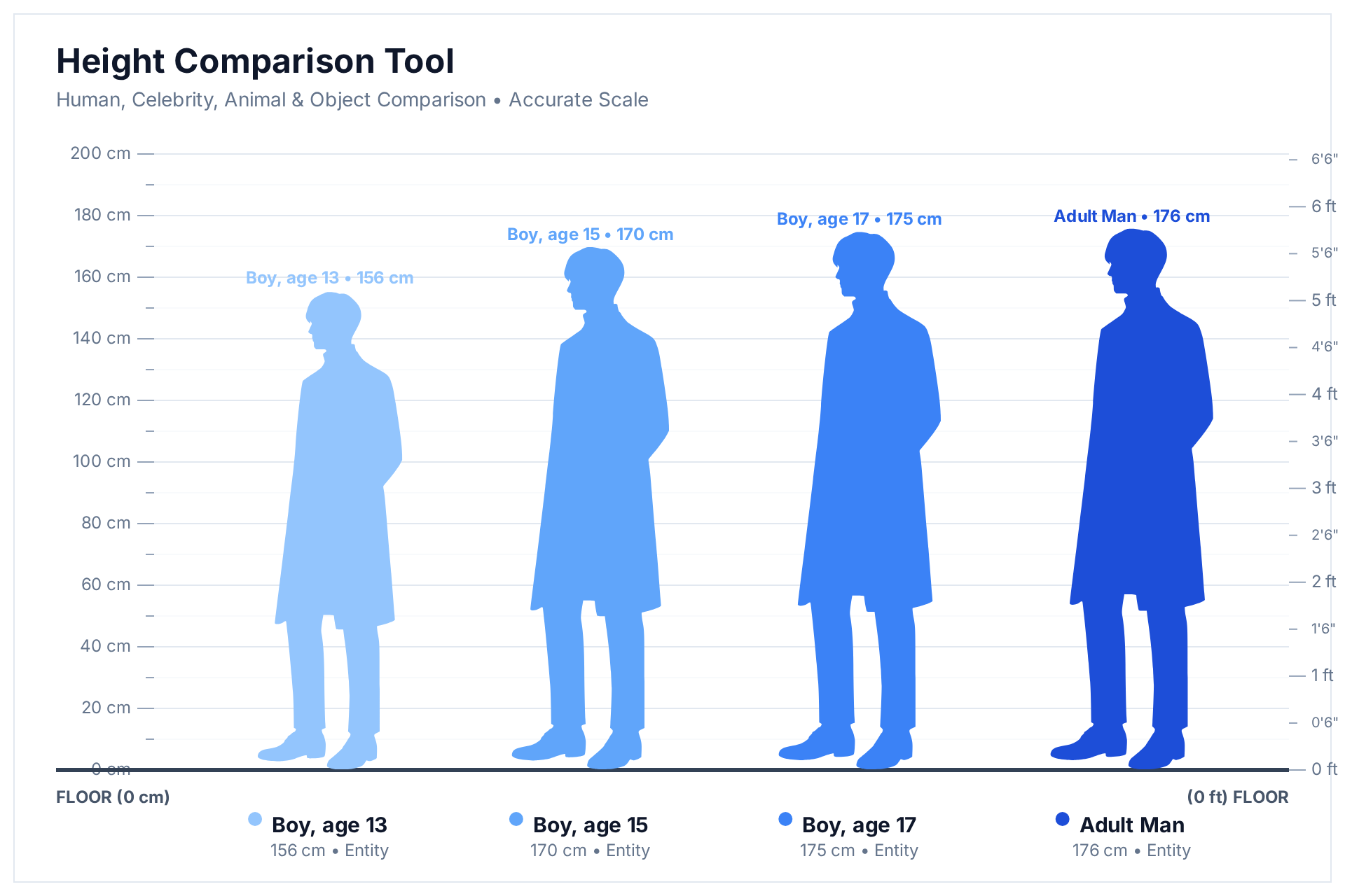Height comparison chart showing an average boy aged 13 at 156 cm, aged 15 at 170 cm and aged 17 at 175 cm next to an average adult man at 176 cm