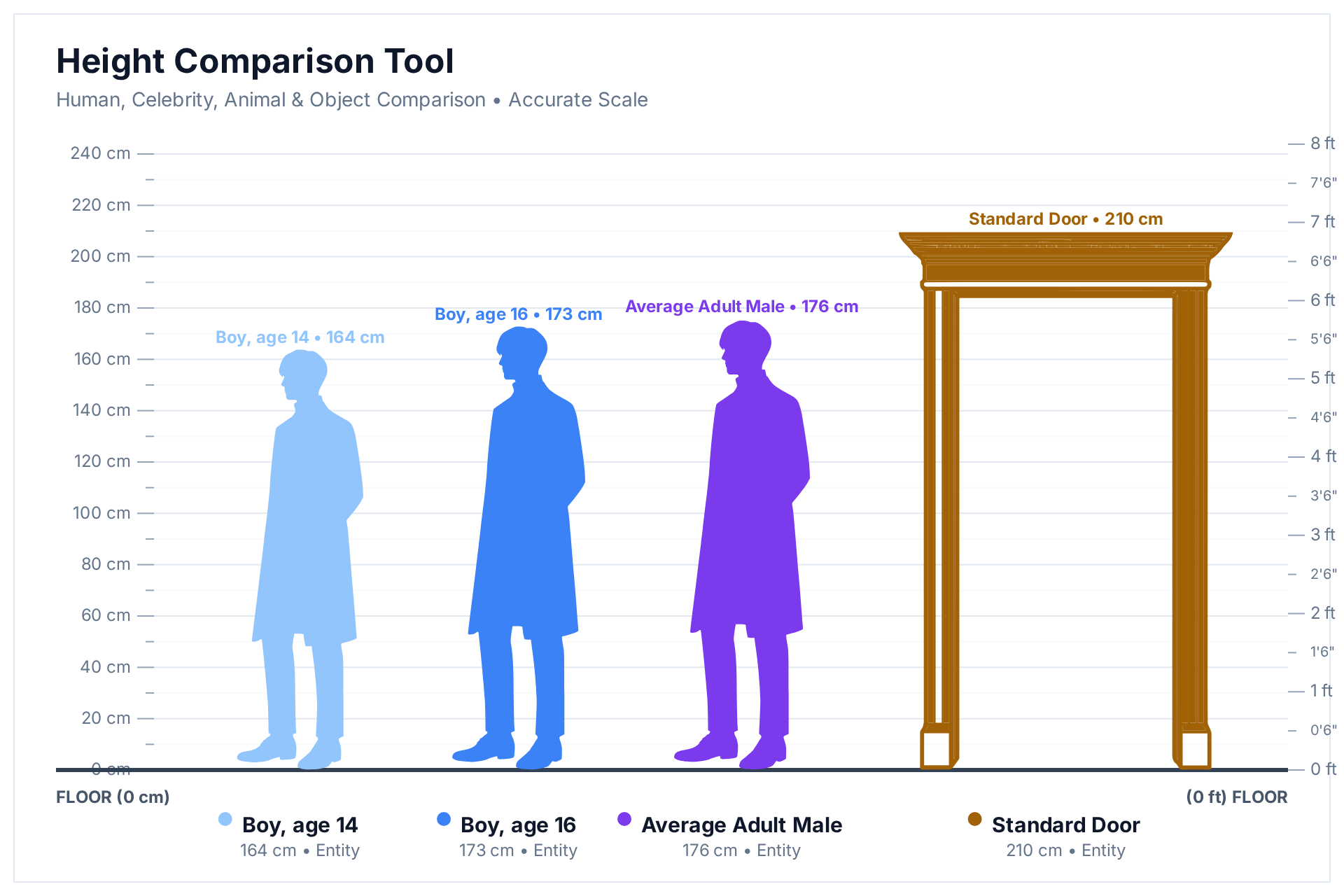 Height comparison chart showing a boy aged 14 at 164 cm and a boy aged 16 at 173 cm next to an average adult man at 176 cm and a standard door at 210 cm