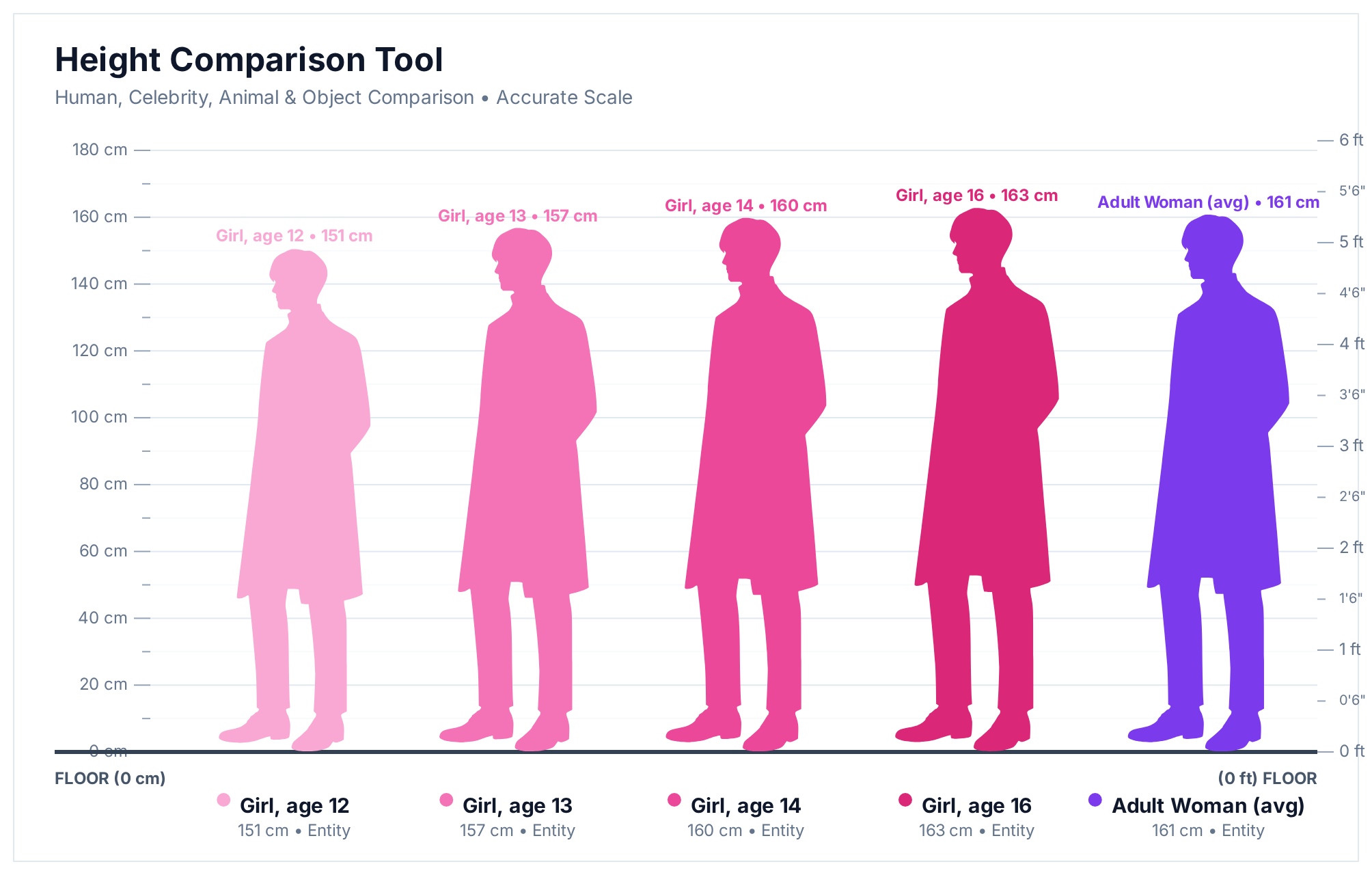 Height comparison chart showing a girl aged 12 at 151 cm, aged 13 at 157 cm, aged 14 at 160 cm and aged 16 at 163 cm next to an average adult woman at 161 cm