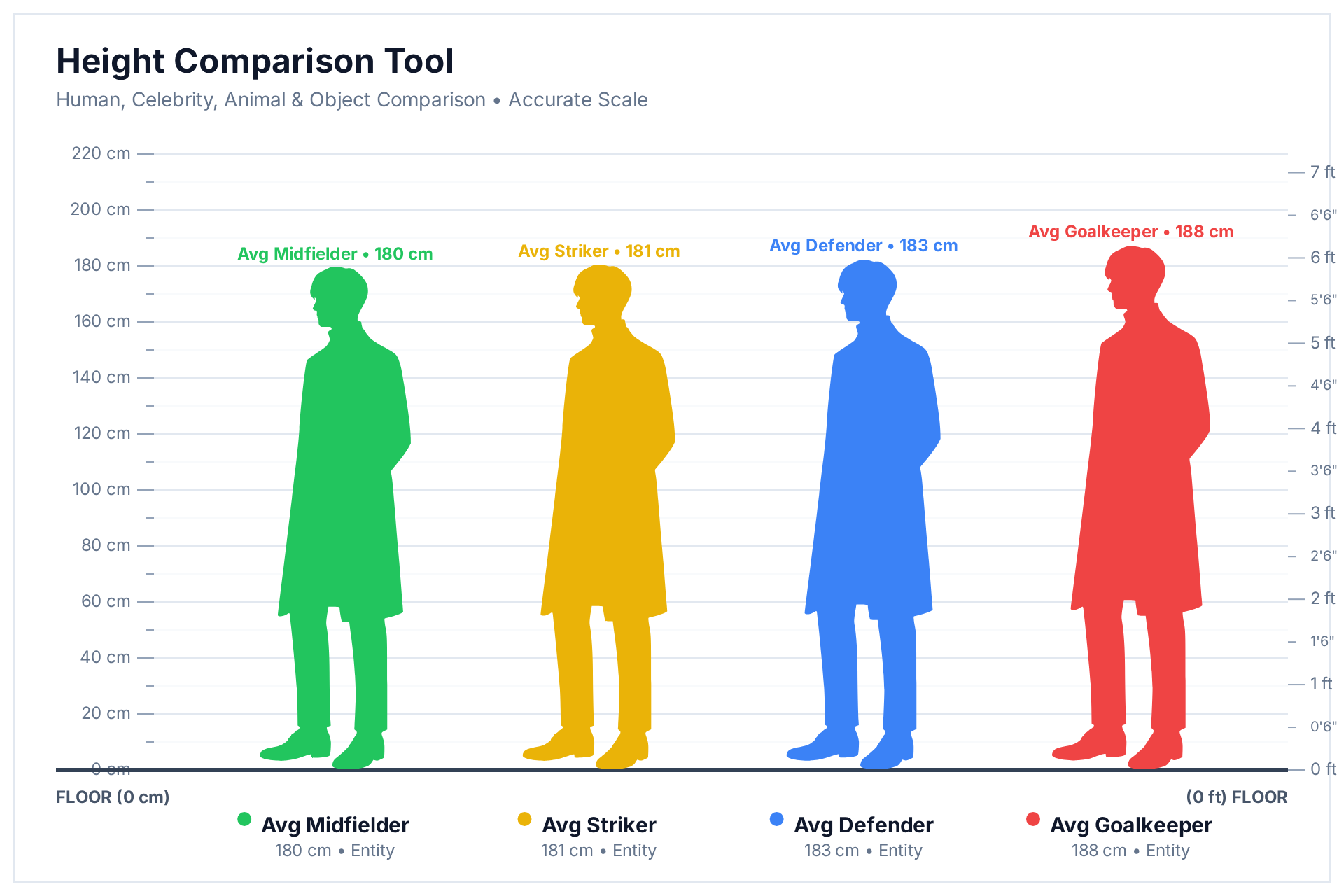 Height comparison chart showing the average goalkeeper at 188 cm, average defender at 183 cm, average striker at 181 cm and average midfielder at 180 cm