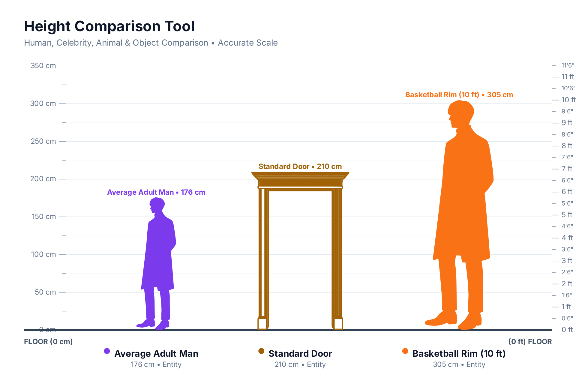 Height comparison chart showing a basketball rim at 305 cm (10 ft) next to a standard door at 210 cm and an average adult man at 176 cm