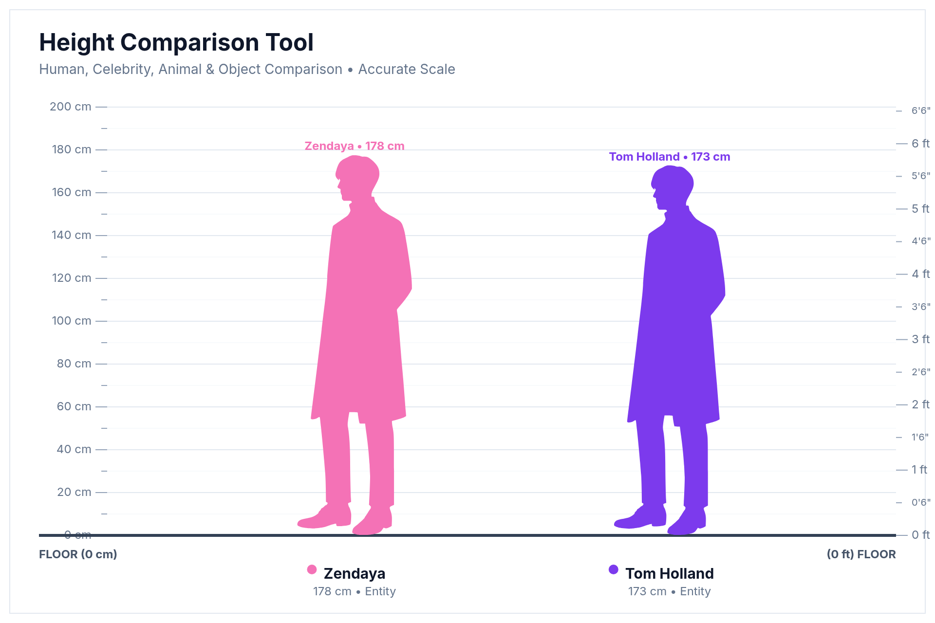 Height comparison chart showing Zendaya at 178 cm standing slightly taller than Tom Holland at 173 cm drawn to scale
