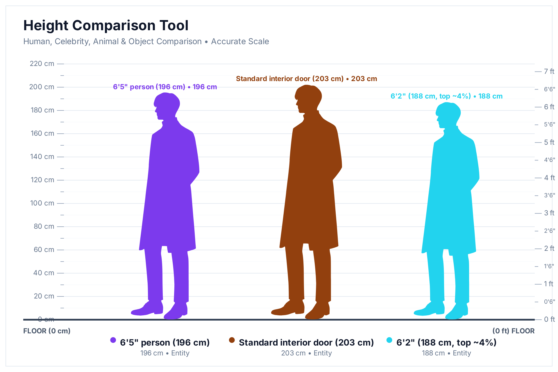 HowHeight comparison chart: a 6'5" (196 cm) person next to a standard 80-inch (203 cm) interior door and a 6'2" (188 cm) person