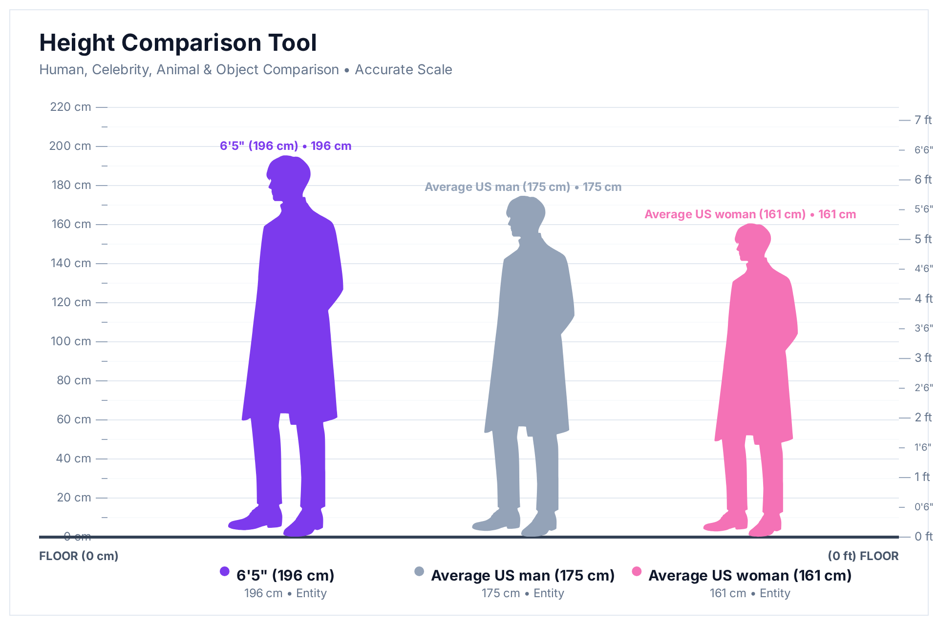 HowHeight comparison chart: a 6'5" (196 cm) man next to the average US man (175 cm) and the average US woman (161 cm)