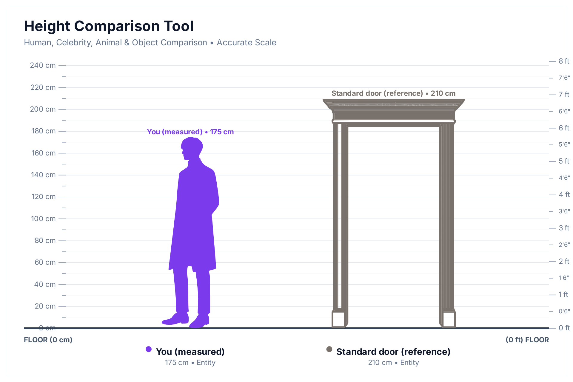 Height comparison chart showing a person measured at 175 cm standing next to a standard door at 210 cm, rendered to scale