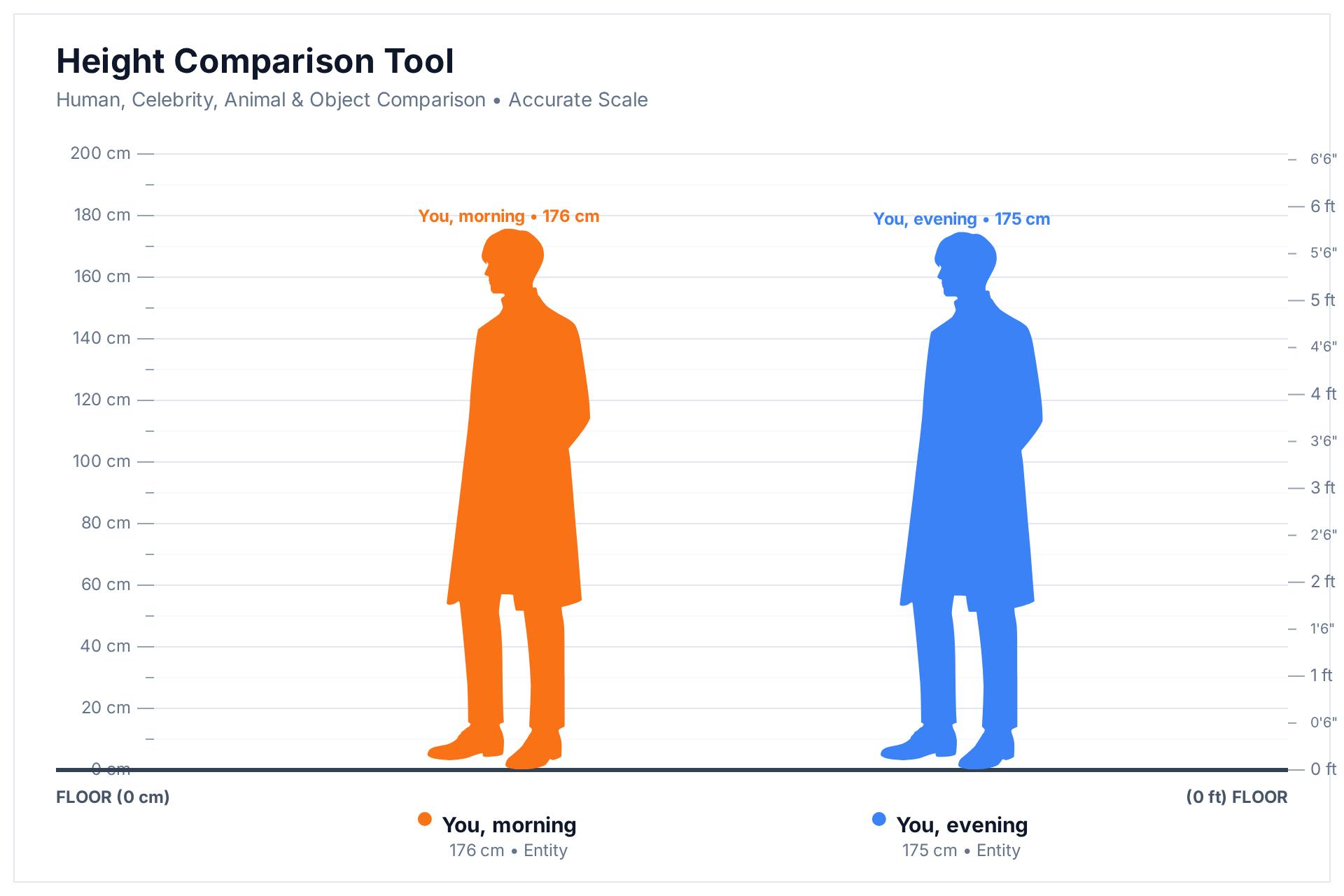 Height comparison chart showing the same person at 176 cm in the morning and 175 cm in the evening, rendered to scale