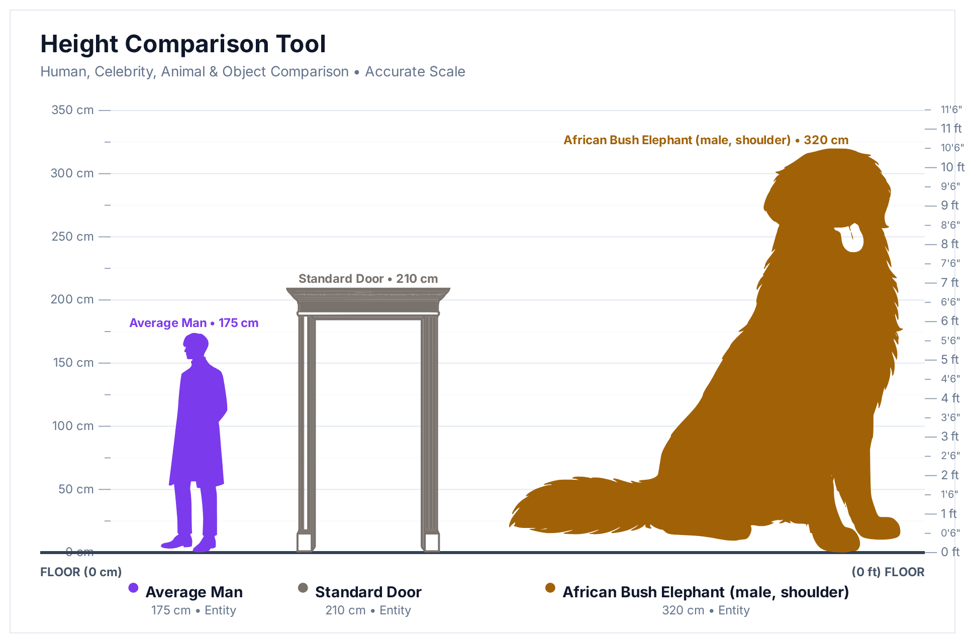 HowHeight comparison chart: 175 cm man, 210 cm standard door and 320 cm African bush elephant bull at true scale