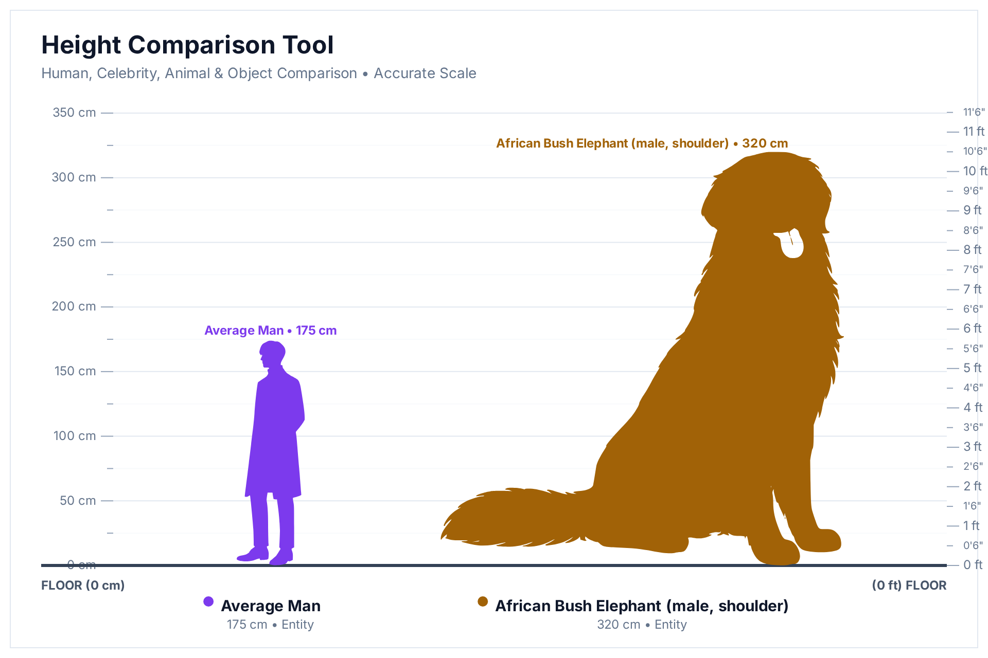 HowHeight comparison chart: 320 cm African bush elephant bull next to a 175 cm adult man