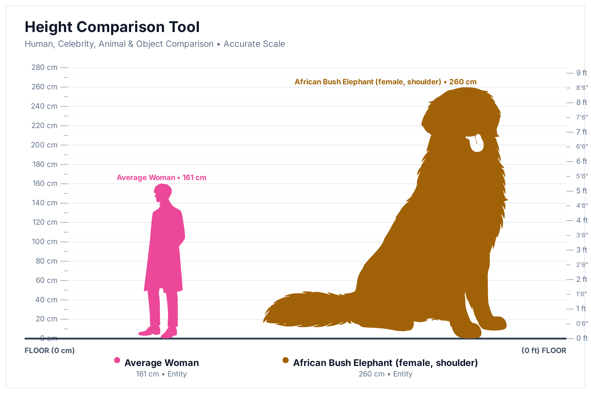 HowHeight comparison chart: 260 cm African bush elephant cow next to a 161 cm adult woman