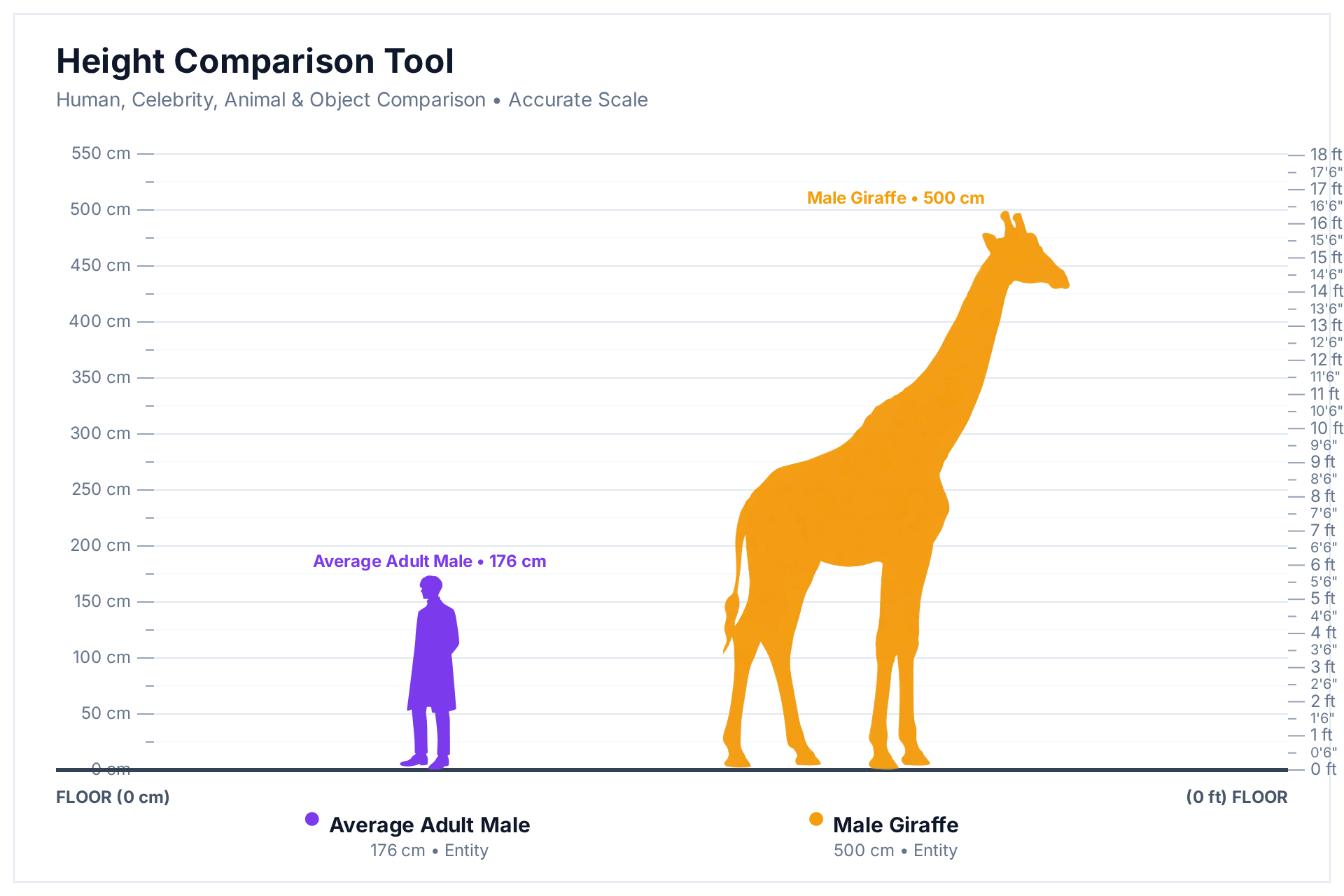HowHeight comparison chart: 500 cm male giraffe next to a 176 cm adult male