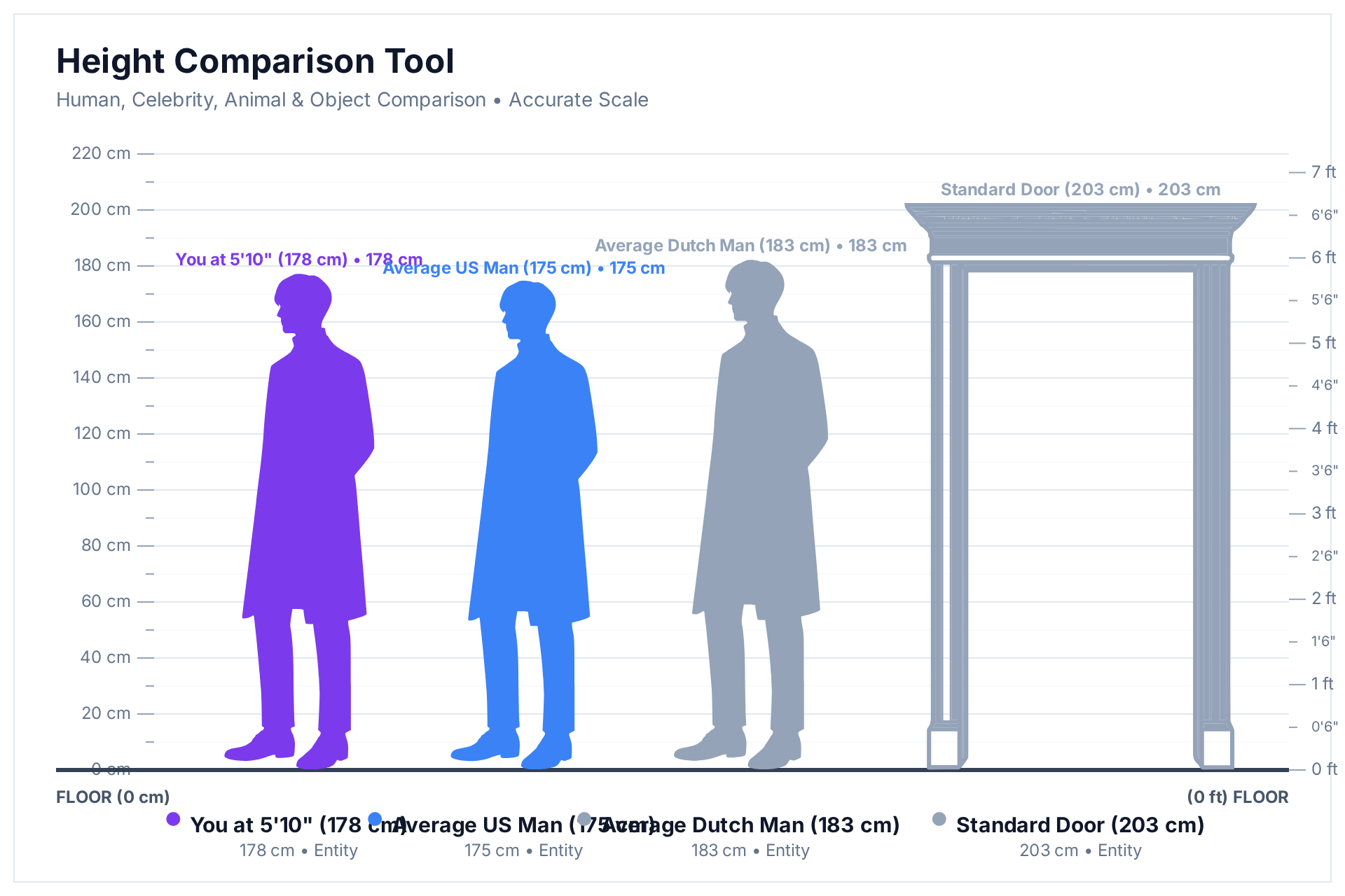 Height comparison chart showing a 5 ft 10 in (178 cm) person next to an average US man, an average Dutch man, and a standard door