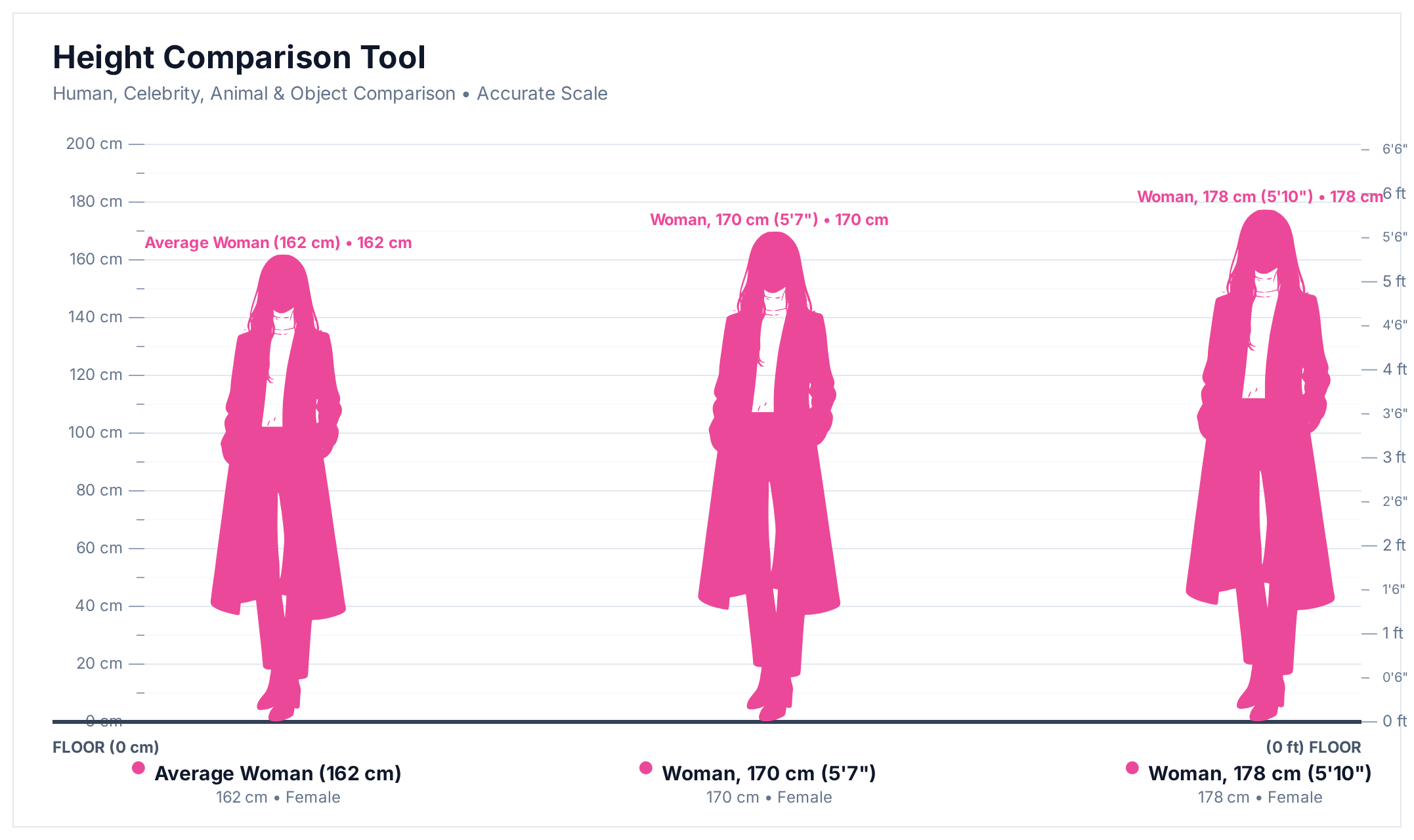 Height comparison chart showing an average woman at 162 cm, a woman at 170 cm (5 ft 7 in) and a woman at 178 cm (5 ft 10 in) rendered to scale