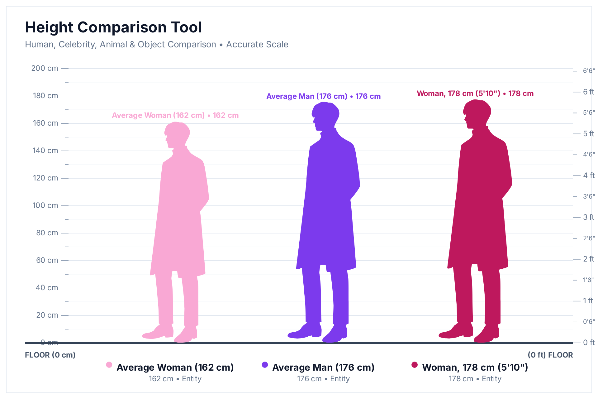 Height comparison chart showing an average woman at 162 cm, an average man at 176 cm, and a tall woman at 178 cm (5 ft 10 in) rendered to scale