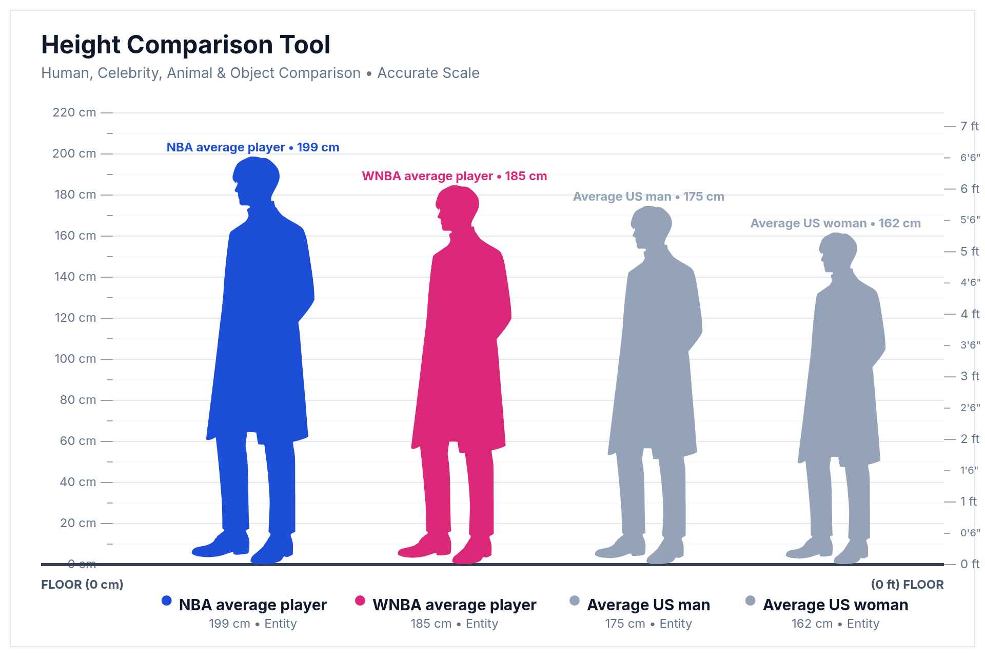 Height comparison chart showing the average NBA player at 199 cm, average WNBA player at 185 cm, average US man at 175 cm and average US woman at 162 cm